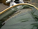 2007-04-24 007.JPG